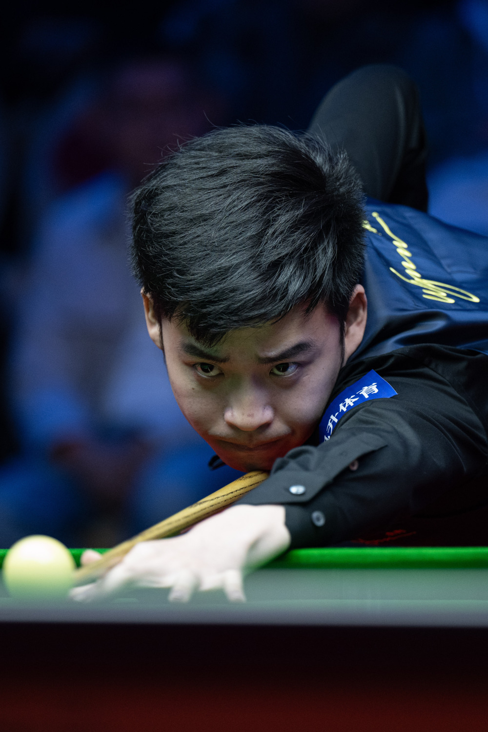 你要我继续 你要我继续