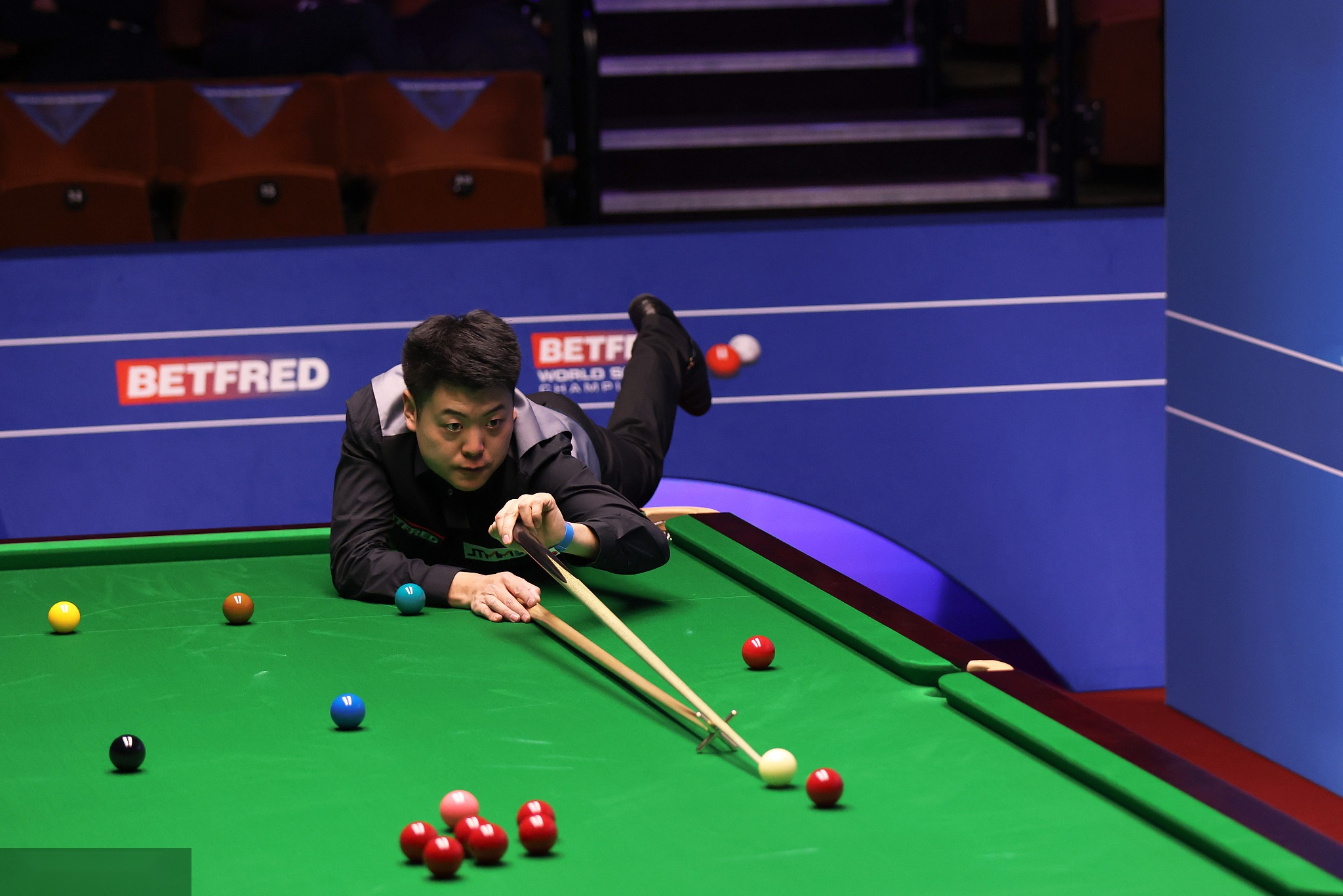 戴维斯的带 戴维斯的带