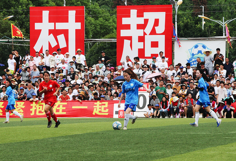 养阵容的深 养阵容的深